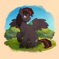 Size: 1920x1920 | Tagged: safe, artist:birdoffnorth, imported from derpibooru, oc, oc only, pegasus, pony, solo