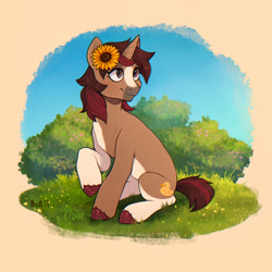 Size: 1600x1600 | Tagged: safe, artist:birdoffnorth, imported from derpibooru, oc, oc only, pony, unicorn, brown eyes, brown mane, bush, coat markings, female, flower, flower in hair, grass, grass field, mare, oc name needed, pinto, short tail, solo, sunflower, tail