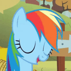 Size: 293x292 | Tagged: safe, imported from derpibooru, screencap, rainbow dash, pegasus, pony, fall weather friends, season 1, animated, autumn, bound wings, cropped, derp, faic, female, gif, great moments in animation, laughing, mare, meme origin, rainbow dash is best facemaker, rainbow derp, running of the leaves, smiling, solo, wings