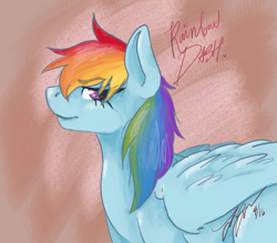 Size: 4000x3508 | Tagged: safe, artist:probaby01, imported from derpibooru, rainbow dash, pegasus, pony, female, mare, signature, simple background, smiling, solo