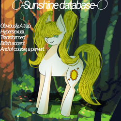 Size: 1280x1280 | Tagged: safe, artist:v1rn0, imported from derpibooru, oc, oc:sun_shine, earth pony, horse, pony, art, blue eyes, digital art, looking at you, photo, smiling, smirk, solo, standing, sun, transformation, white pony