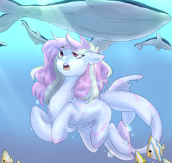 Size: 2522x2378 | Tagged: safe, artist:boresuser, imported from derpibooru, oc, oc only, oc:rainy skies, fish, original species, pony, shark, shark pony, whale, blue background, bubble, crepuscular rays, dorsal fin, female, fish tail, looking up, mare, ocean, open mouth, pink mane, red eyes, simple background, solo, sunlight, swimming, tail, teeth, underwater, water