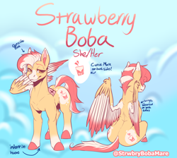 Size: 1446x1296 | Tagged: safe, artist:strwbrybobamare, imported from derpibooru, oc, oc:strawberry boba, pegasus, pony, butt, female, hooves, mare, pegasus oc, plot, ponysona, quadrupedal, reference, reference sheet, sfw version, sitting, solo, standing, wings