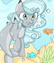 Size: 868x1026 | Tagged: safe, artist:mushy, imported from derpibooru, oc, oc only, oc:bubbles, fish, original species, pony, shark, shark pony, bubble, female, fish tail, flowing mane, green eyes, looking at each other, mare, ocean, open mouth, seashell, seaweed, sharkified, sharp teeth, smiling, smiling at each other, solo, species swap, swimming, tail, talking to viewer, teeth, underwater, water