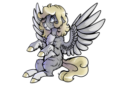 Size: 3300x2300 | Tagged: safe, artist:mylittlegodzilla, imported from derpibooru, oc, oc only, oc:gray bird, pegasus, pony, chest fluff, simple background, solo, transparent background