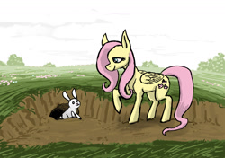 Size: 2000x1404 | Tagged: safe, artist:necromarecy, imported from derpibooru, fluttershy, pegasus, pony, rabbit, animal, solo