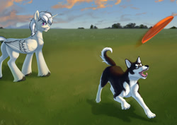 Size: 1280x906 | Tagged: safe, artist:tigra0118, imported from derpibooru, oc, oc only, alicorn, dog, pony, alicorn oc, butt, commission, digital art, frisbee, horn, male, pet, plot, solo, wings, ych result