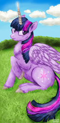 Size: 1080x2220 | Tagged: safe, artist:heavenheathen, imported from derpibooru, twilight sparkle, alicorn, pony, chest fluff, grass, looking at you, sitting, sky, solo, twilight sparkle (alicorn)