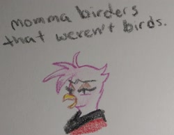 Size: 2048x1590 | Tagged: safe, artist:pony quarantine, imported from derpibooru, oc, oc only, oc:whore birb, griffon, bust, clothes, crayon drawing, dialogue, female, griffon oc, robe, solo, traditional art