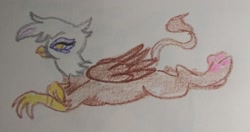 Size: 2048x1082 | Tagged: safe, artist:pony quarantine, imported from derpibooru, gilda, griffon, crayon drawing, female, looking at you, lying down, paw pads, paws, prone, solo, toe beans, traditional art, underpaw