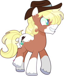 Size: 2976x3529 | Tagged: safe, artist:kurosawakuro, imported from derpibooru, oc, earth pony, pony, hat, male, simple background, solo, stallion, transparent background