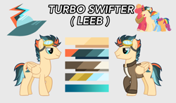 Size: 3122x1836 | Tagged: safe, artist:turboswifter, derpibooru exclusive, imported from derpibooru, big macintosh, rainbow dash, scootaloo, oc, oc:turbo swifter, pegasus, pony, clothes, goggles, jacket, male, reference sheet, size comparison, stallion