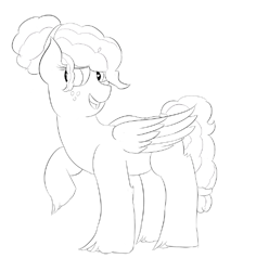 Size: 505x535 | Tagged: safe, artist:schumette14, imported from derpibooru, oc, oc:pacific rose, pegasus, next generation, offspring, parent:big macintosh, parent:marble pie, parents:marblemac, sketch