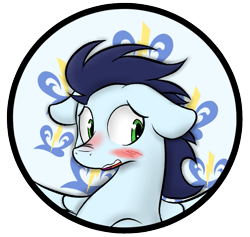 Size: 751x712 | Tagged: safe, artist:ricy, imported from derpibooru, soarin', oc, pegasus, pony, blushing, blushing profusely, circle background, cutie mark background, ears back, floppy ears, flustered, heart eyes, looking away, male, open mouth, scrunchy face, solo, spread wings, stallion, wingding eyes, wings