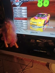 Size: 3000x4000 | Tagged: safe, imported from derpibooru, princess cadance, unicorn, car, gamecube, nascar, photo, picture of a screen, racecar, solo, toy, video game