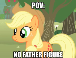 Size: 579x445 | Tagged: safe, derpibooru exclusive, edit, edited screencap, imported from derpibooru, screencap, applejack, earth pony, pony, applejack's hat, applejack's parents, caption, cowboy hat, dark comedy, female, hat, image macro, implied bright mac, mare, meme, no father figure, offscreen character, pov, solo, text, the apple family parents are dead