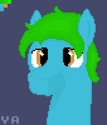 Size: 340x400 | Tagged: safe, artist:valuable ashes, imported from derpibooru, oc, oc:valuable ashes, earth pony, pony, bust, pixel art, simple background, solo