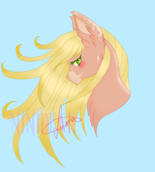 Size: 2331x2573 | Tagged: safe, artist:niniibear, imported from derpibooru, oc, oc only, earth pony, pony, blue background, ear fluff, earth pony oc, signature, simple background, solo