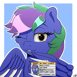 Size: 2000x2000 | Tagged: safe, artist:h3nger, imported from derpibooru, oc, oc only, oc:lishka, pegasus, pony, amber eyes, blade, bust, cheek fluff, chest fluff, commission, commissioner:biohazard, eyebrows, eyelashes, female, horny on main, looking at you, multicolored hair, one eye closed, pegasus oc, portrait, simple background, solo, two toned mane, weapon, wing hands, wingblade, wings, wink, winking at you, ych result