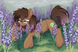 Size: 2004x1345 | Tagged: safe, artist:crimmharmony, imported from derpibooru, oc, oc only, oc:be sharp, earth pony, pony, chest fluff, earth pony oc, flower, gazing, glasses, grass, lavender, leg fluff, lying down, male, outdoors, prone, solo, stallion