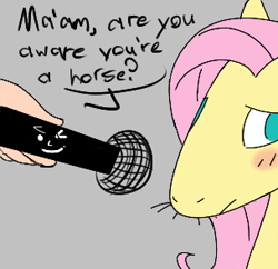 Size: 304x294 | Tagged: safe, fluttershy, human, pony, aggie.io, blushing, female, looking away, lowres, mare, microphone, nervous, simple background, snoofa, talking, whiskers