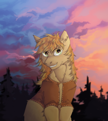 Size: 800x900 | Tagged: safe, artist:bazur, imported from derpibooru, braeburn, earth pony, pony, clothes, commission, male, smiling, solo, stallion, sunset, two toned mane, vest, ych result