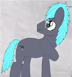 Size: 2147x2312 | Tagged: safe, artist:peacepetal, imported from derpibooru, oc, oc only, earth pony, pony, earth pony oc, glasses, male, stallion