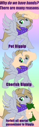 Size: 900x2880 | Tagged: safe, imported from derpibooru, oc, oc:emperor bigpip, alicorn, alicorn oc, blonde mane, caption, clothes, disembodied hand, gemstones, gradient background, gray coat, green eyes, hand, horn, meme, money, rainbow background, robe, solo, stars, text, wings