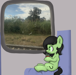 Size: 3022x2986 | Tagged: safe, artist:dumbwoofer, imported from derpibooru, oc, oc:filly anon, earth pony, pony, chair, female, filly, irl, juice, juice box, photo, sitting, solo, train, tree, window