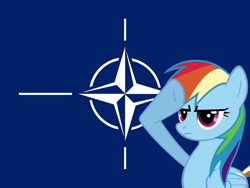 Size: 2560x1920 | Tagged: safe, imported from derpibooru, rainbow dash, pegasus, pony, flag, mouthpiece, nato, politics, rainbow dash salutes, solo