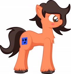 Size: 3904x4052 | Tagged: safe, artist:alexdti, imported from derpibooru, oc, oc only, oc:robertapuddin, earth pony, pony, blushing, chest fluff, earth pony oc, female, full body, g5, high res, hooves, mare, messy mane, pose, side view, simple background, smiling, solo, standing, tail, unshorn fetlocks, white background