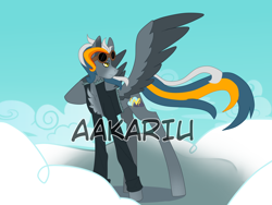 Size: 2000x1500 | Tagged: safe, artist:aakariu, imported from derpibooru, oc, pegasus, adoptable, character, digital art, original character do not steal