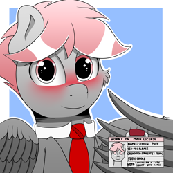 Size: 2000x2000 | Tagged: safe, artist:h3nger, imported from derpibooru, oc, oc:cotton puff, pegasus, pony, blushing, horny on main, male, necktie, solo, stallion