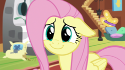 Size: 1280x720 | Tagged: safe, imported from derpibooru, screencap, fluttershy, butterfly, pegasus, pony, fluttershy leans in, season 7, animal, close-up, cute, daaaaaaaaaaaw, dilated pupils, female, fluttershy's cottage, happy, hnnng, mare, reaction image, shyabetes, smiling, solo, weapons-grade cute