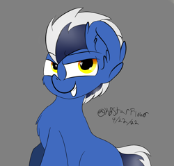 Size: 1135x1087 | Tagged: safe, artist:lunastaralight, imported from derpibooru, oc, oc only, earth pony, pony, ear fluff, earth pony oc, fanart, gray background, grin, signature, simple background, smiling, solo, two toned mane