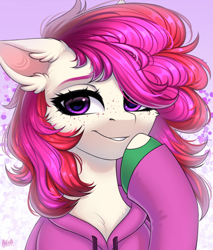 Size: 1920x2258 | Tagged: safe, artist:hakaina, imported from derpibooru, oc, oc only, oc:merry, earth pony, pony, chest fluff, clothes, ear fluff, female, freckles, hoodie, mare, multicolored mane, smug smile, solo, ych result