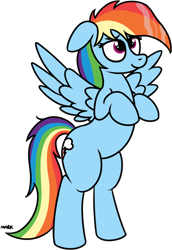 Size: 1146x1663 | Tagged: safe, artist:mark_ml, imported from ponybooru, rainbow dash, pegasus, pony, ears, female, floppy ears, mare, puppy dog eyes, simple background, smiling, solo, standing up, transparent background, wet, wet mane
