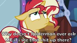 Size: 1920x1080 | Tagged: safe, artist:nieva-creates, edit, edited screencap, imported from derpibooru, screencap, sunset shimmer, equestria girls, mirror magic, spoiler:eqg specials, bag, caption, floppy ears, image macro, looking up, meme, sad face, sad pony, saddle bag, solo, text