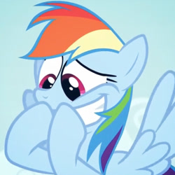 Size: 540x540 | Tagged: safe, imported from derpibooru, screencap, rainbow dash, pegasus, pony, 28 pranks later, season 6, faic, lol, rainbow dash is best facemaker, reaction image, smiling