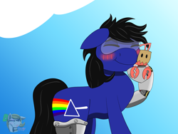 Size: 1600x1200 | Tagged: safe, artist:gray star, imported from derpibooru, oc, oc only, oc:biff, cyborg, lobster, blushing, commission, male, plushie, stallion