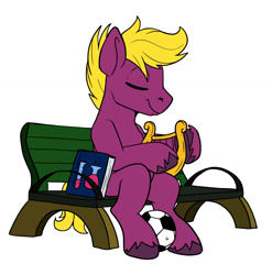 Size: 1280x1297 | Tagged: safe, artist:starponys87, artist:tsitra360, imported from derpibooru, oc, oc only, oc:david starlyre, oc:starlyre, earth pony, athlete, book, chemistry, cool, earth pony oc, football, geek, jock, lyre, male, musical instrument, nerd, purple, simple background, sports, stallion, textbook, wavy hair, white background, yellow hair