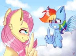 Size: 2476x1834 | Tagged: safe, artist:galaxy swirl, imported from derpibooru, fluttershy, rainbow dash, pegasus, pony, blushing, chest fluff, cloud, duo, duo female, ear fluff, eye clipping through hair, female, flutterbitch, gritted teeth, looking at each other, looking at someone, mare, middle feather, middle finger, rainbow douche, signature, sky, smiling, smug, teeth, unshorn fetlocks, vulgar, wing hands, wings