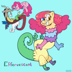 Size: 2048x2048 | Tagged: safe, artist:3ggmilky, imported from derpibooru, discord, pinkie pie, oc, oc:effervescent, draconequus, pony, blue background, discopie, draconequus oc, female, interspecies offspring, male, name, offspring, parent:discord, parent:pinkie pie, parents:discopie, shipping, simple background, straight