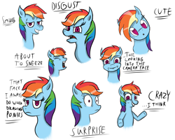 Size: 1587x1269 | Tagged: safe, artist:aflurryofdragons, imported from derpibooru, rainbow dash, pegasus, pony, :o, bust, disgusted, expressions, eyes closed, facial expressions, female, front view, frown, grin, head tilt, lidded eyes, looking at you, mare, no pupils, open mouth, portrait, shrunken pupils, simple background, smiling, smug, surprised, text, three quarter view, white background
