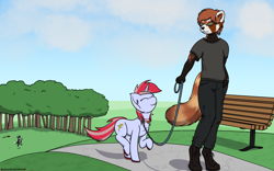 Size: 1920x1200 | Tagged: safe, artist:skydreams, imported from derpibooru, oc, oc only, oc:cade quantum, oc:cinnamon lightning, anthro, dog, pony, red panda, unicorn, :3, bench, border collie, collar, commission, eyes closed, female, frisbee, furry, furry oc, glasses, leash, male, mare, park, park bench, pony pet, tree