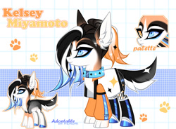 Size: 1280x944 | Tagged: safe, artist:henori_artist, imported from derpibooru, oc, oc only, dog, dog pony, original species, pony, base used, clothes, collar, eyelashes, female, heterochromia, hoof polish, makeup, mare, paw prints, reference sheet, smiling