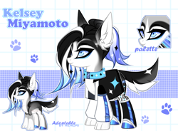 Size: 4000x2950 | Tagged: safe, alternate version, artist:henori_artist, imported from derpibooru, oc, oc only, dog, dog pony, original species, pony, base used, clothes, collar, eyelashes, female, heterochromia, hoof polish, makeup, mare, paw prints, reference sheet, smiling