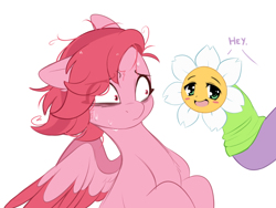 Size: 982x738 | Tagged: safe, artist:higgly-chan, imported from derpibooru, izzy moonbow, pegasus, pony, spoiler:g5, spoiler:my little pony: tell your tale, spoiler:tyts01e02, adorable distress, anthophobia, cute, daisy (flower), female, flower, g5, mare, markings, messy mane, my little pony: tell your tale, nervous, offscreen character, open mouth, phobia, puppet, scared, simple background, solo focus, sweat, sweating profusely, white background, windy (g5), zipp's flight school