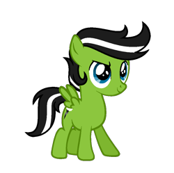 Size: 875x871 | Tagged: safe, artist:darbypop1, imported from derpibooru, oc, oc only, oc:black thunder, pegasus, pony, colt, foal, full body, hooves, male, pegasus oc, show accurate, simple background, smiling, solo, spread wings, standing, tail, transparent background, two toned mane, two toned tail, wings