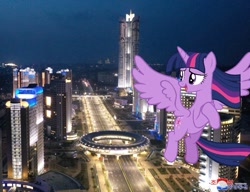 Size: 715x549 | Tagged: safe, imported from derpibooru, twilight sparkle, alicorn, pony, 1000 hours in ms paint, female, giant pony, giantess, highrise ponies, irl, macro, mare, night, north korea, photo, ponies in real life, pyongyang, twilight sparkle (alicorn)